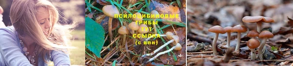 скорость Анжеро-Судженск