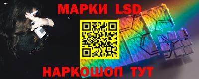 гидропоника Дубна