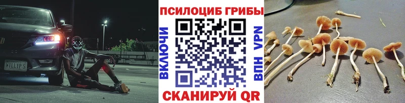 Галлюциногенные грибы Psilocybine cubensis  Канаш 