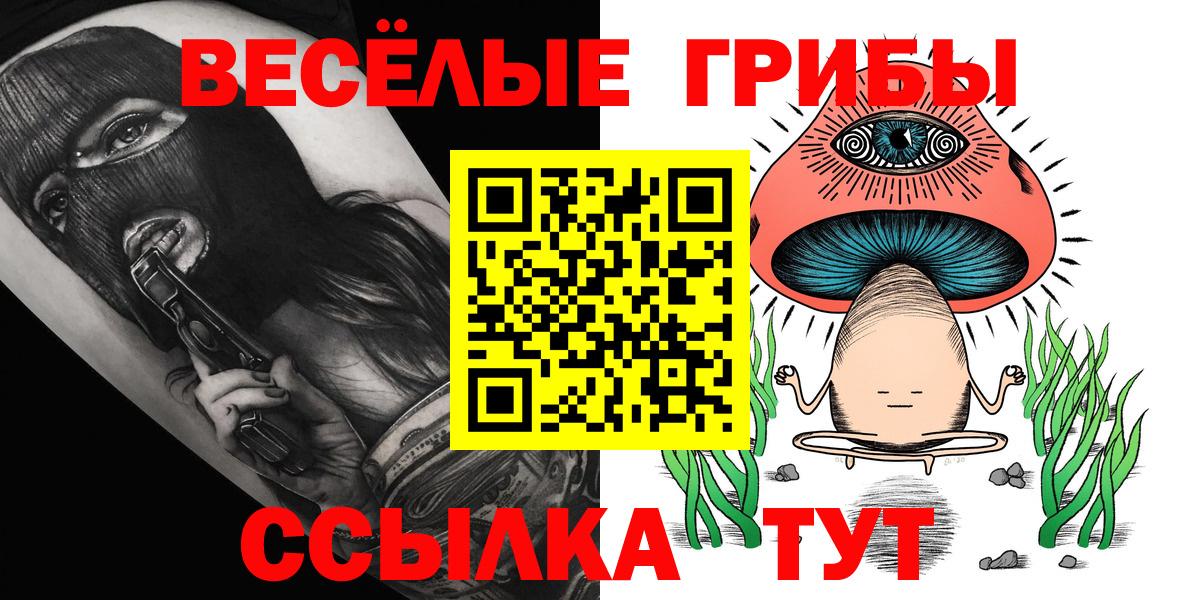 Псилоцибиновые грибы Cubensis  Канаш  Галлюциногенные грибы Cubensis 