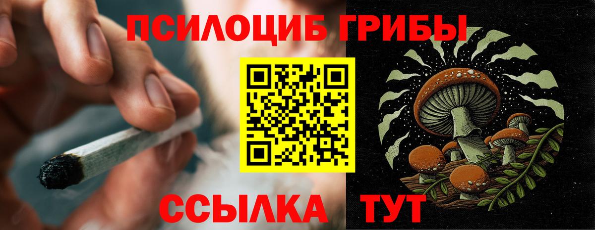Галлюциногенные грибы Magic Shrooms  Вход с VPN  Канаш 